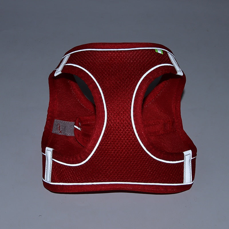 Adjustable Dog Harness and Leash Set for Small Breeds - Ideal for Puppies, Cats, French Bulldogs, Chihuahuas, and Pugs - Perfect for Outdoor Walks
