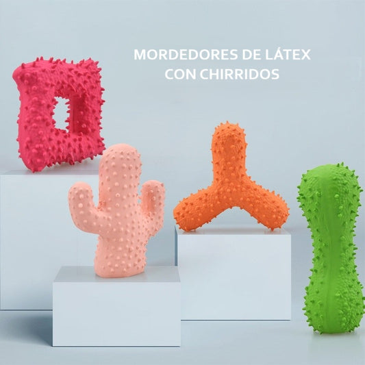 Juguete de látex para perros - Hueso con púas, cubo, cactus con chirridos para limpieza dental.