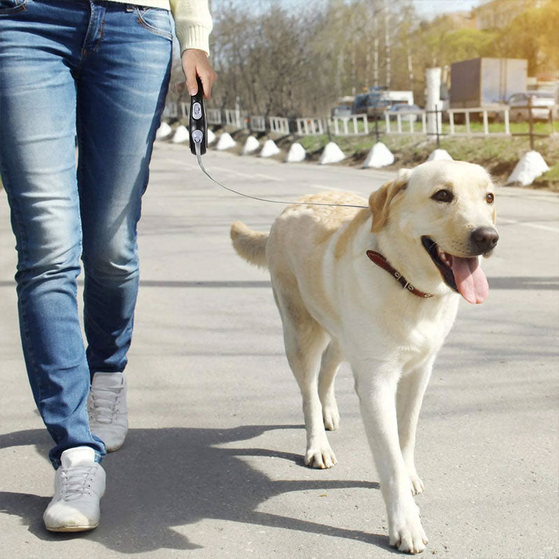 Correa retráctil premium (3m/5m/8m): libertad y control total para perros de hasta 50 kg