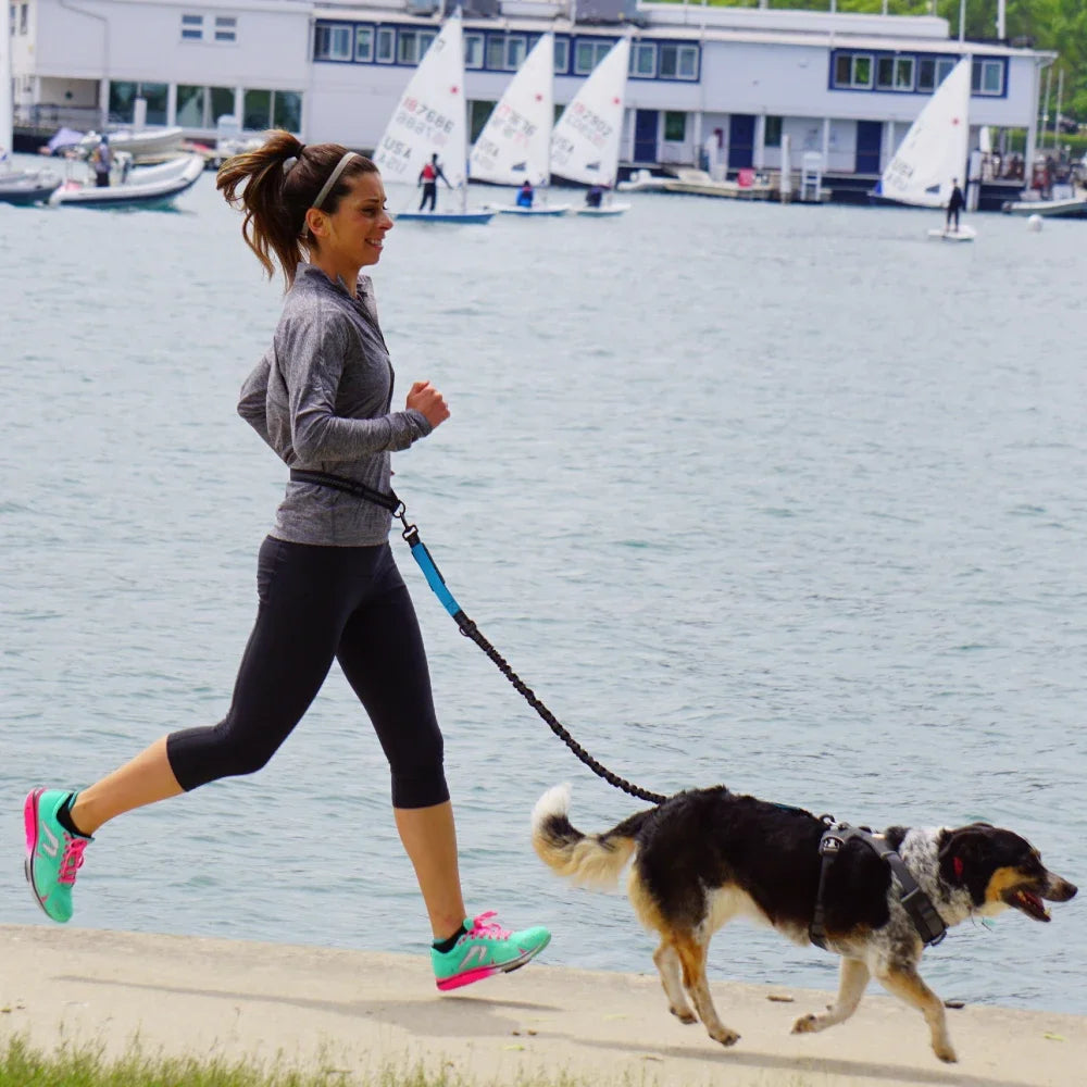 Correa manos libres ajustable para perro | Cinturón elástico para correr, jogging y paseos con mascota