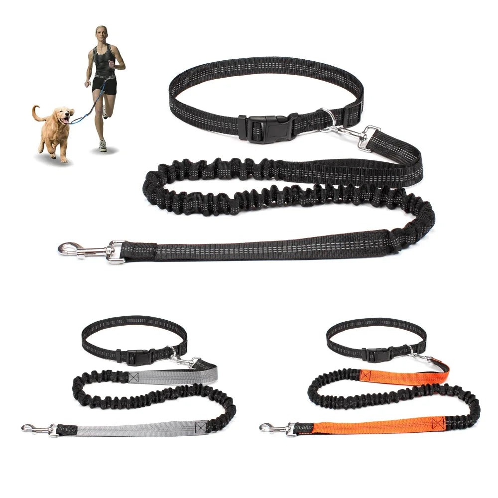 Correa manos libres ajustable para perro | Cinturón elástico para correr, jogging y paseos con mascota