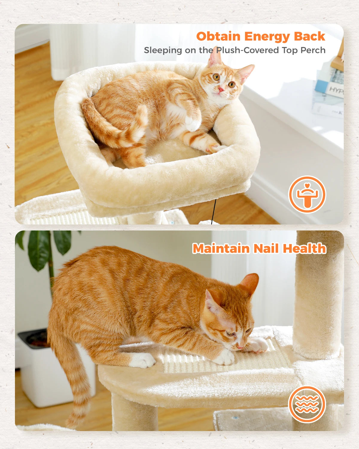 Árbol rascador premium 3-en-1: transformable, sisal, nido y hamaca de lujo