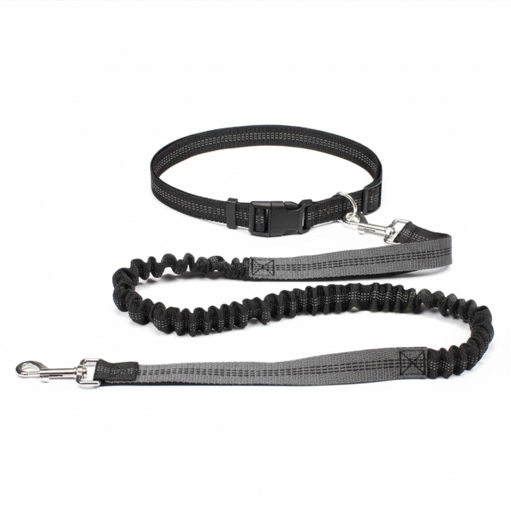 Correa de cintura ajustable manos libres para perro | Cinturón elástico para correr, running y paseos con mascota