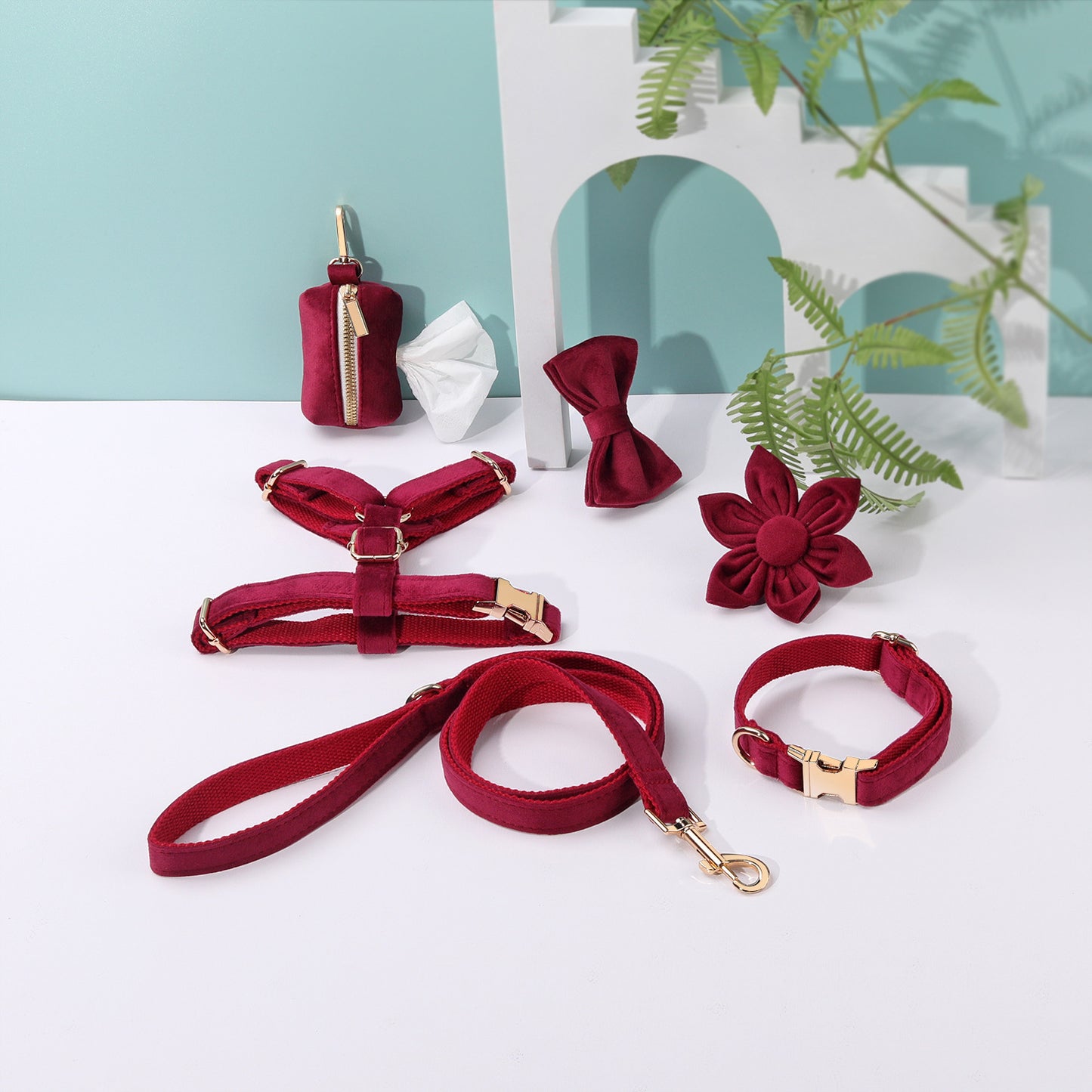 Conjunto de paseo elegante para perros y gatos | 6 piezas