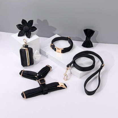 Conjunto de paseo elegante para perros y gatos | 6 piezas