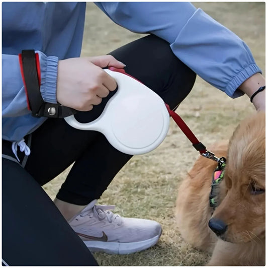 Correa auxiliar para paseo de perros | ¡Manos libres, máxima seguridad y control!