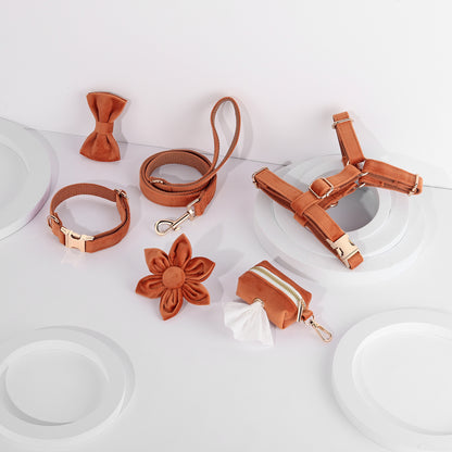 Conjunto de paseo elegante para perros y gatos | 6 piezas