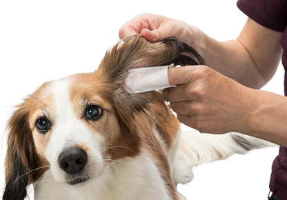 Toallitas para limpiar las orejas de perros y gatos Trixie