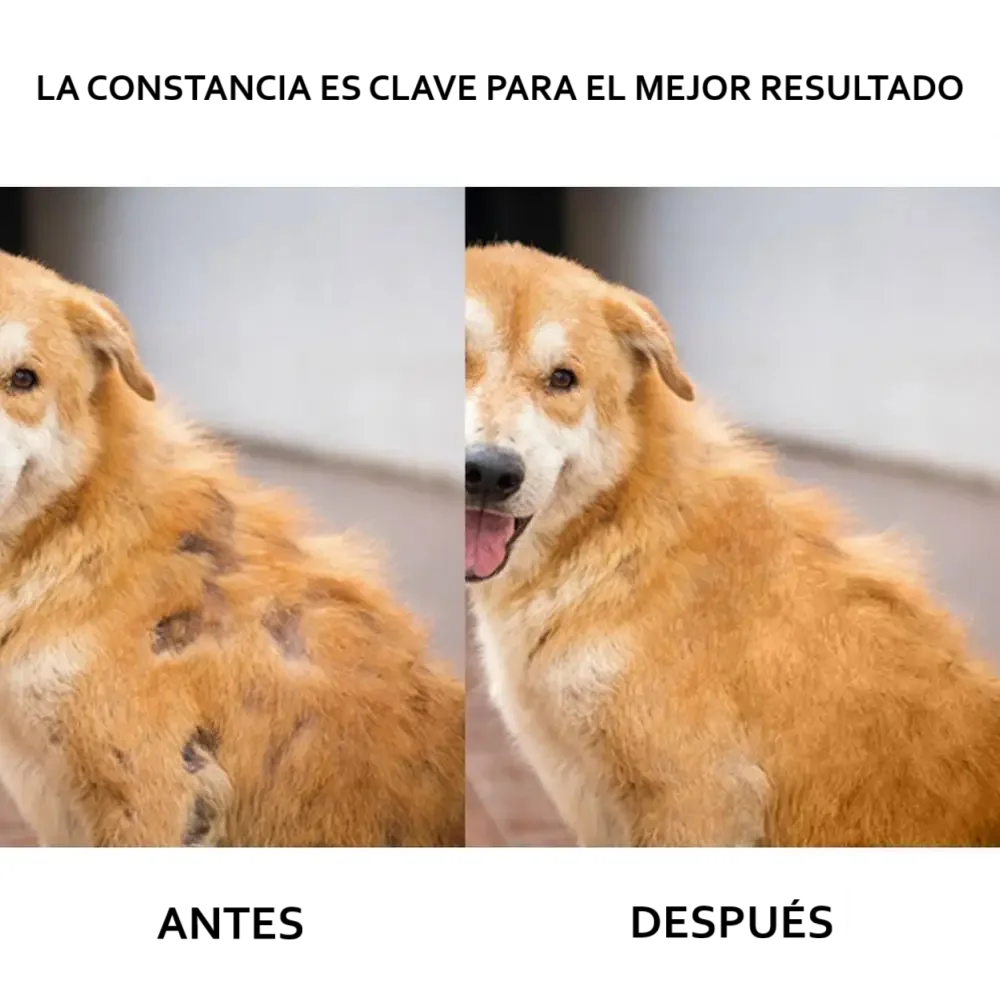 Espray-aerosol activador capilar: fórmula natural para el crecimiento de pelo en perros y gatos (30ml)