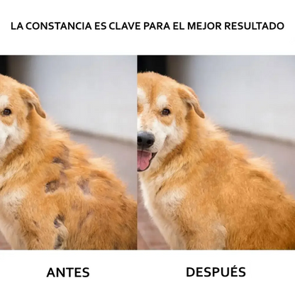 Espray-aerosol activador capilar: fórmula natural para el crecimiento de pelo en perros y gatos (30ml)