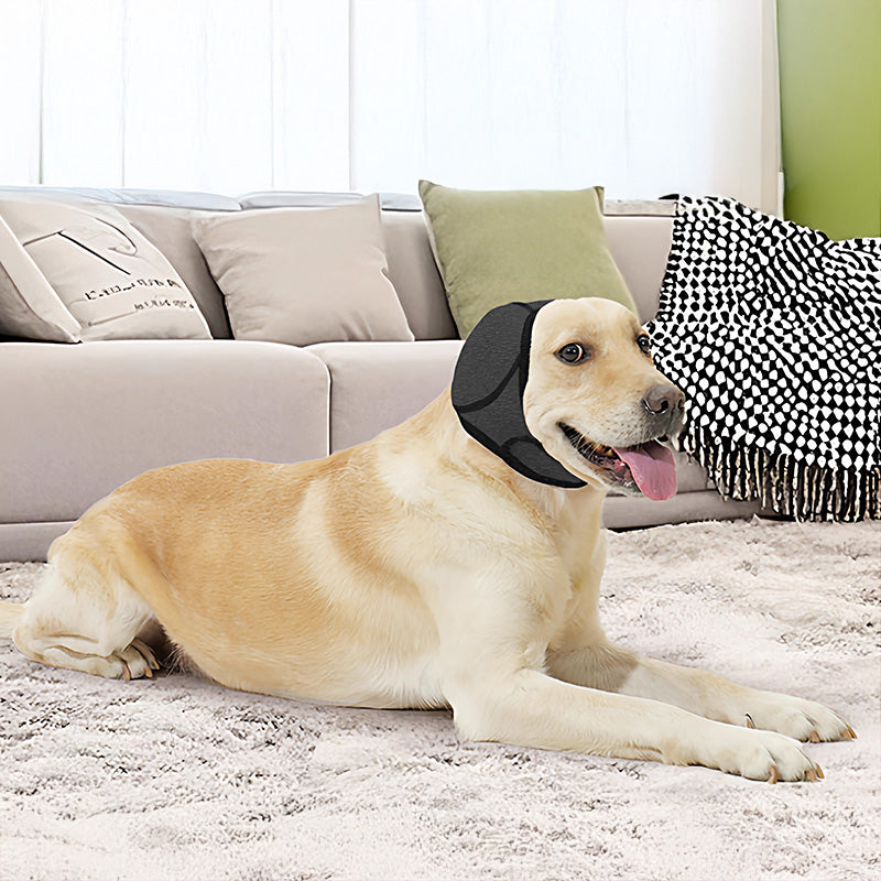 Orejeras impermeables y anti ruido para perros | Ideales para natación, baño y peluquería