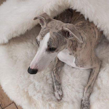 Natural Sheepskin Pet Cave - White-4
