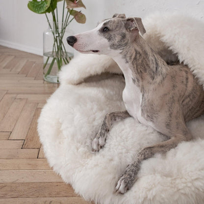 Natural Sheepskin Pet Cave - White-2
