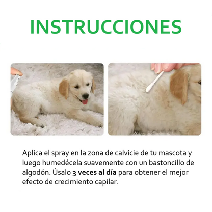 Espray-aerosol activador capilar: fórmula natural para el crecimiento de pelo en perros y gatos (30ml)