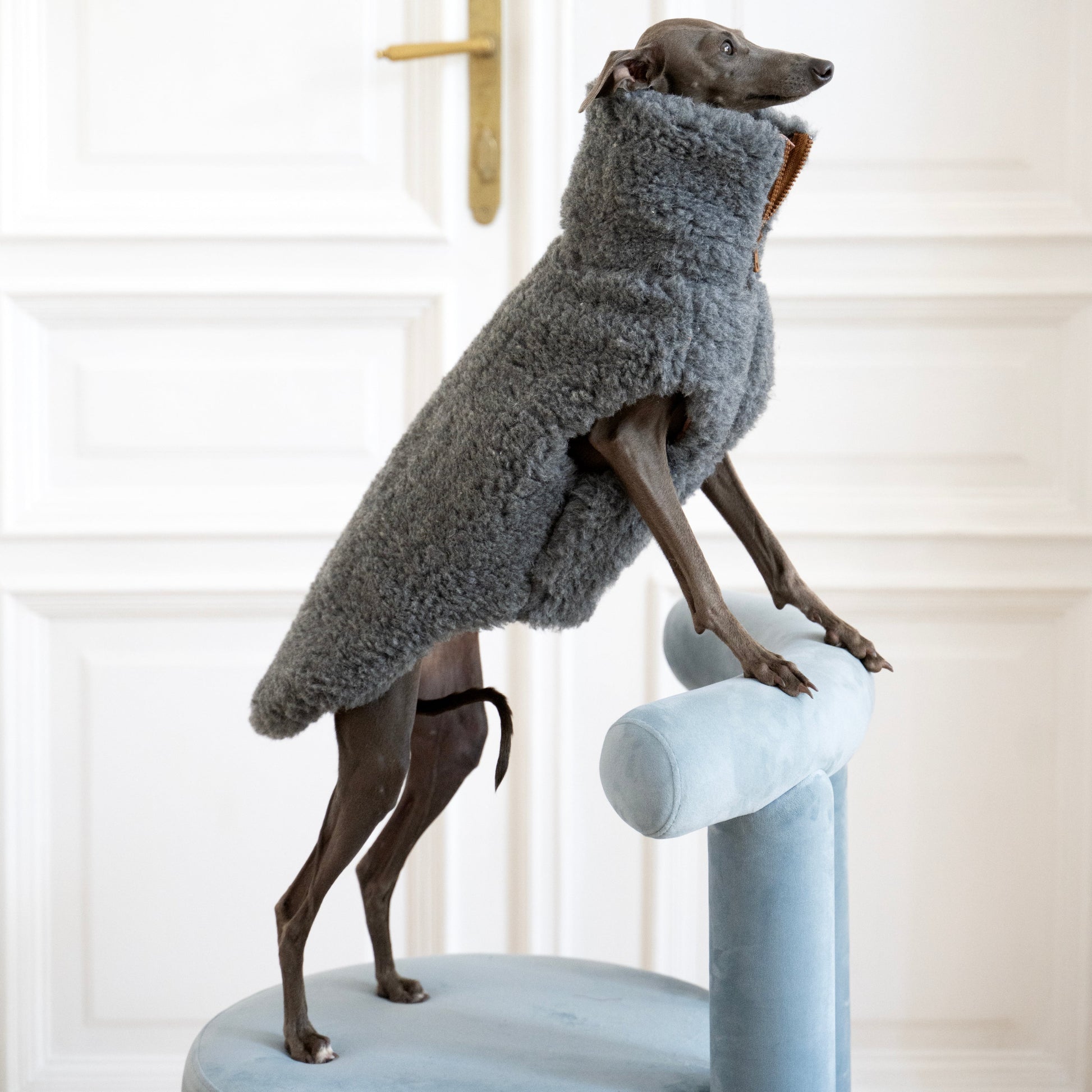 Woolen Dog Vest - Dark Grey-0