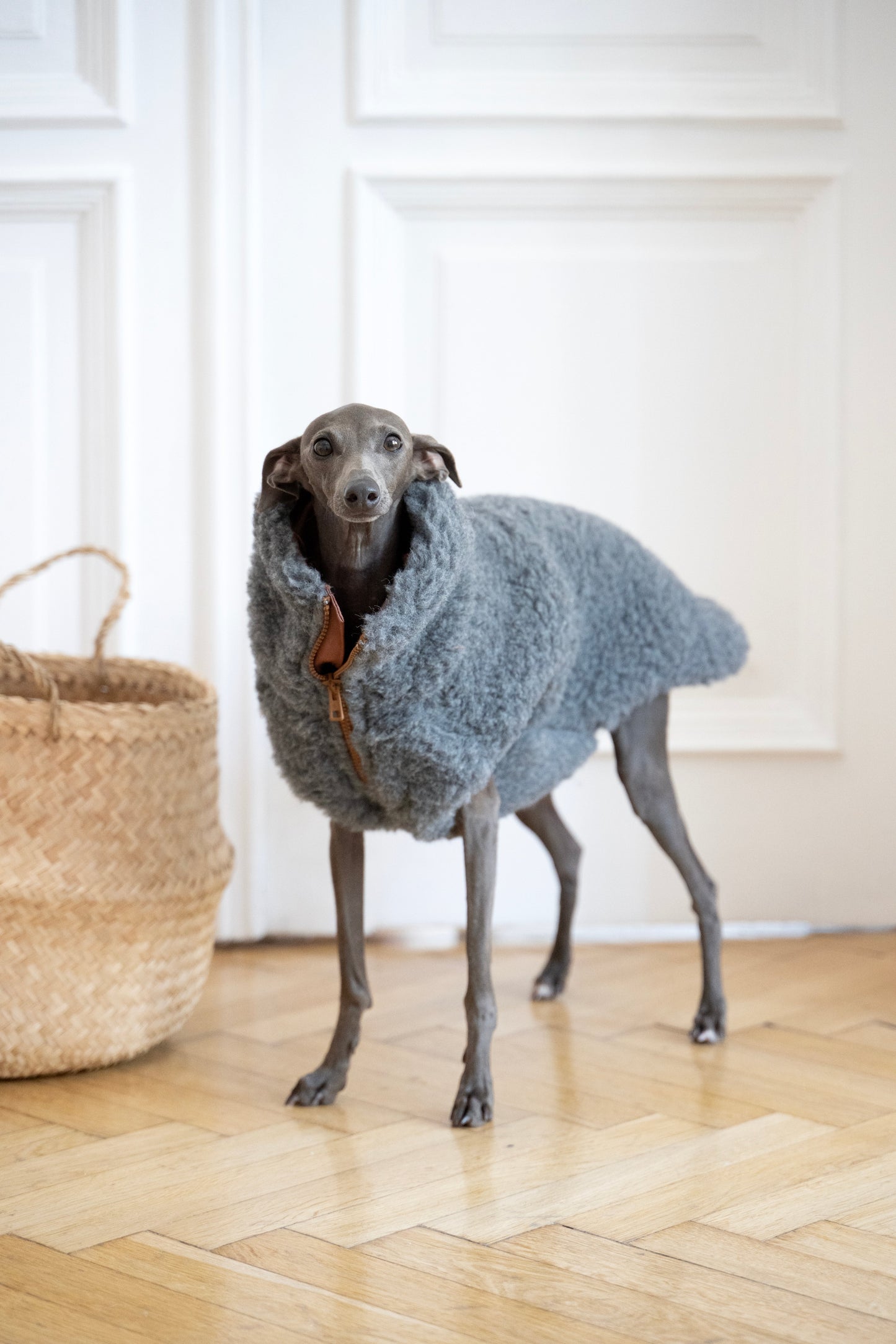 Woolen Dog Vest - Dark Grey-2