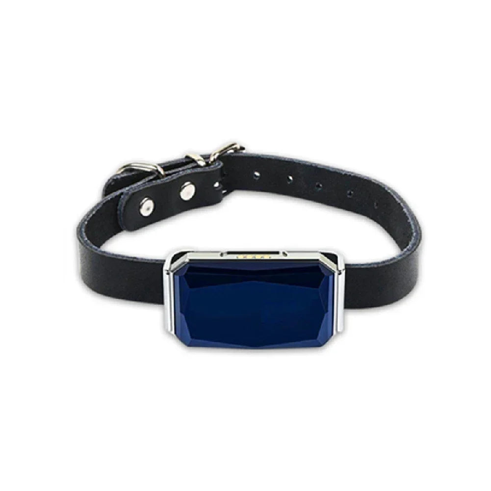 Localizador GPS inteligente G12: resistencia IP67 y 5 modos de posicionamiento