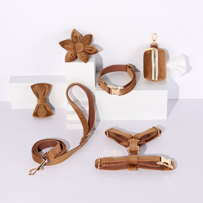 Conjunto de paseo elegante para perros y gatos | 6 piezas