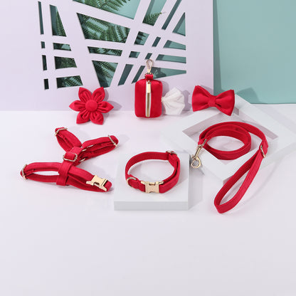 Conjunto de paseo elegante para perros y gatos | 6 piezas