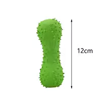 Juguete de látex para perros - Hueso con púas, cubo, cactus con chirridos para limpieza dental.